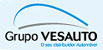 Grupo Vesauto